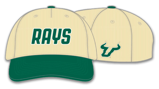USF Tampa Bay Rays promotional hat.