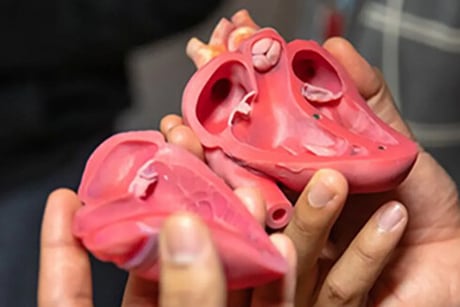 3d-heart