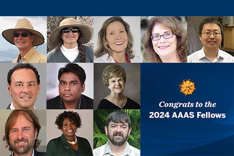 2024-aaas-fellows-490